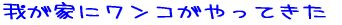 �䂪�ƂɃ����R������Ă���