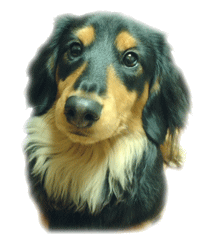 ŋyukiĂ΂dZĂȂȂVׂȂ񂾂(T_T)