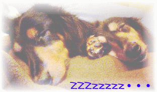 NFlɂƂHAPPYȂP˂ɂȂ܂悤ɁEEE