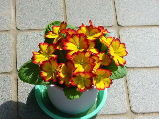 �t�������E�|���A���T