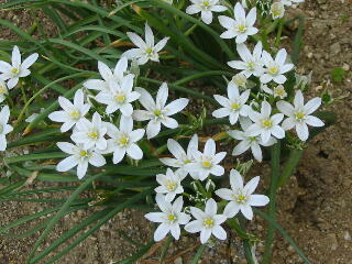 �������܂�