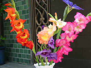 �O���W�I���X