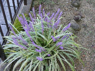 �������Ԃ��