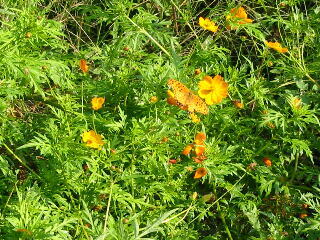 ���΂Ȃ�������