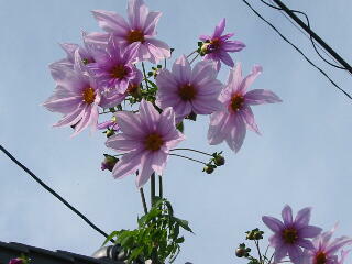 �c��_���A