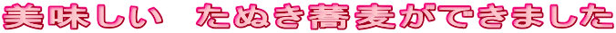 @ʂł܂